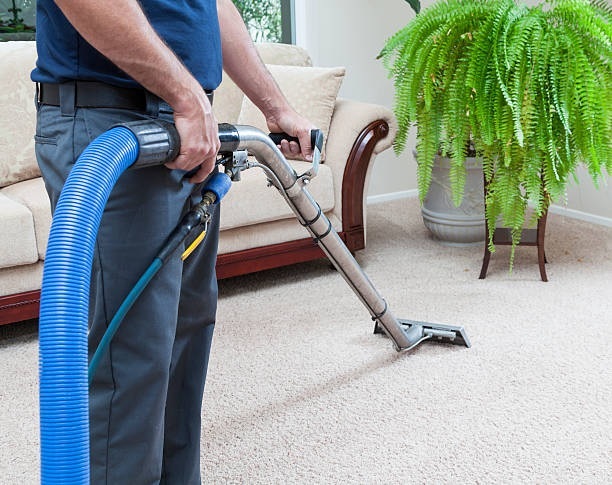 Stain Solutions Carpet Cleaning Gold Coast